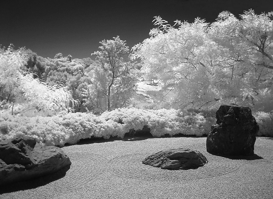 "Zen Rock Garden" photo by Eric Platt, © 2008